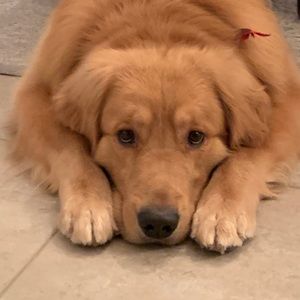 Meet your Posher, Lynn